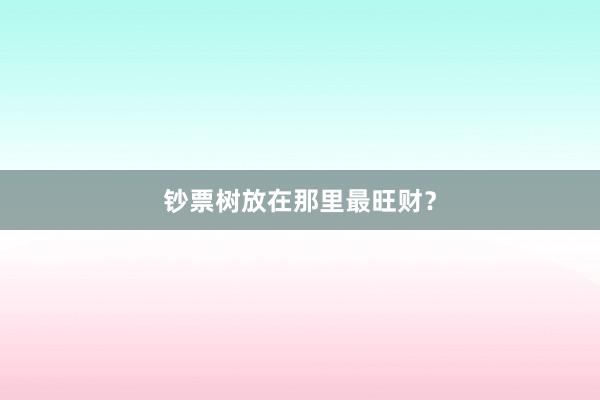 钞票树放在那里最旺财？